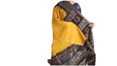 Khadi linen batik print saree SILK ZONE